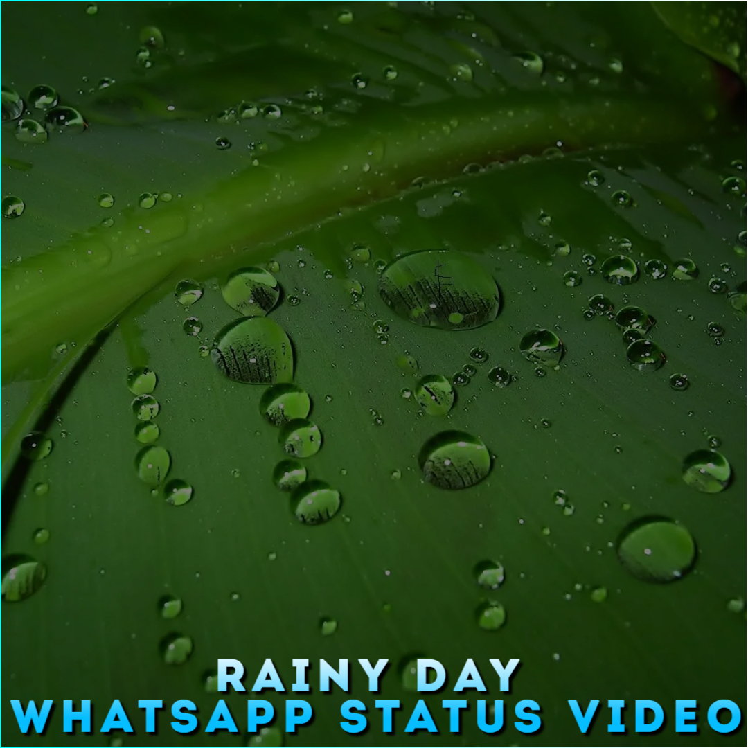 Rainy Day Whatsapp Status Video, Rainy Day HD Status Video