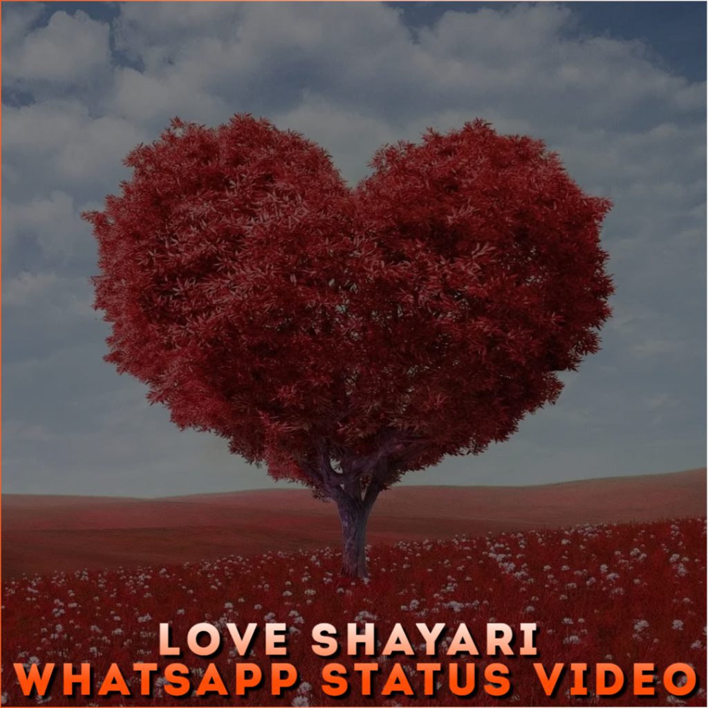 Love Shayari Whatsapp Status Video