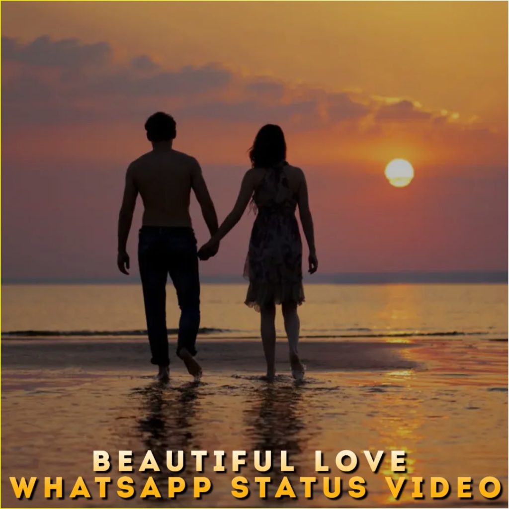 Beautiful Love Whatsapp Status Video