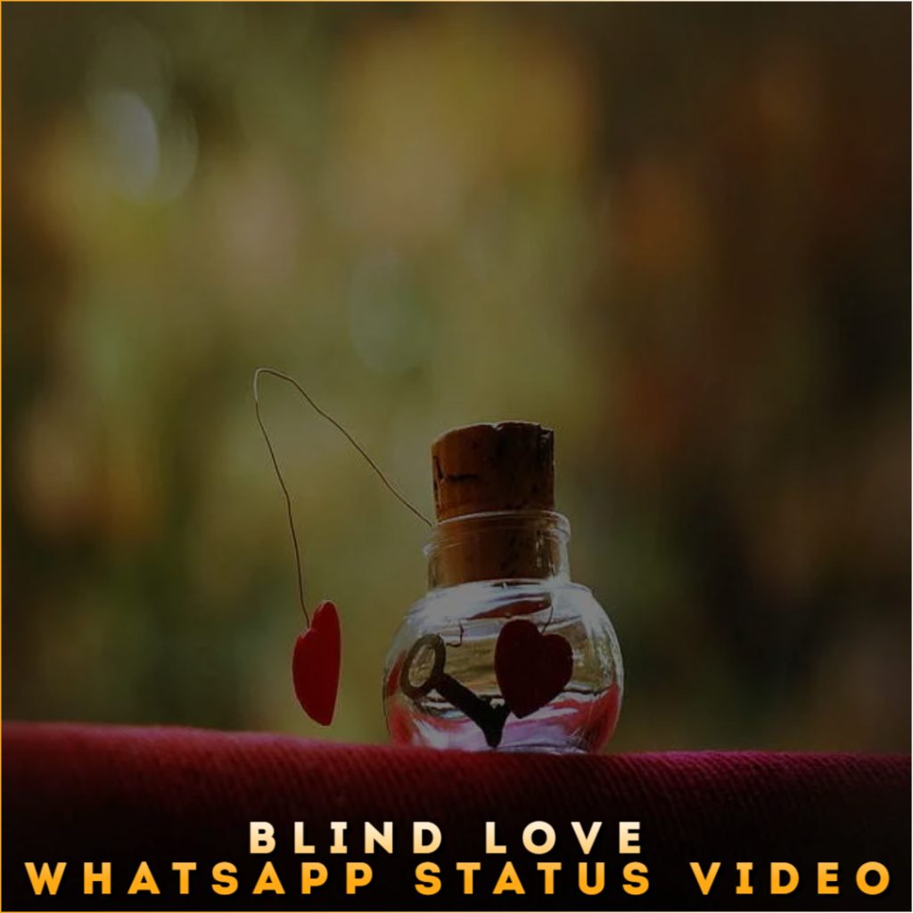 Blind Love Whatsapp Status Video