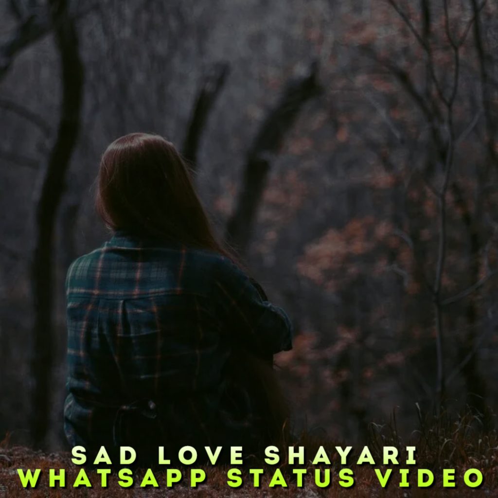Sad Love Shayari Whatsapp Status Video