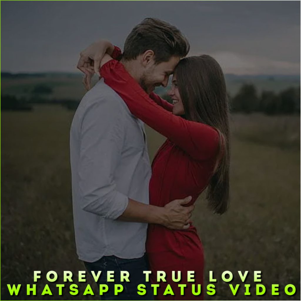 Forever True Love Whatsapp Status Video