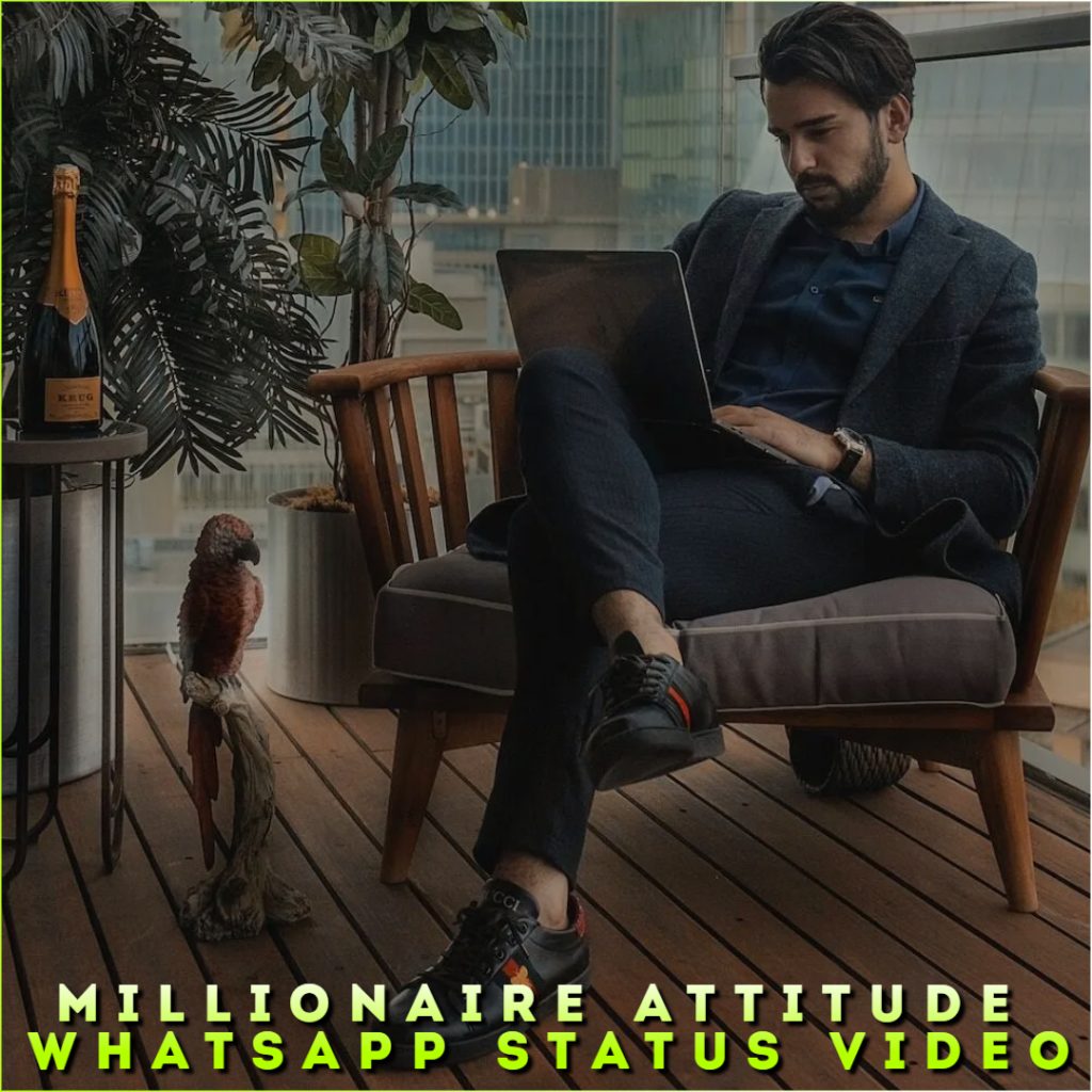 Millionaire Attitude Whatsapp Status Video