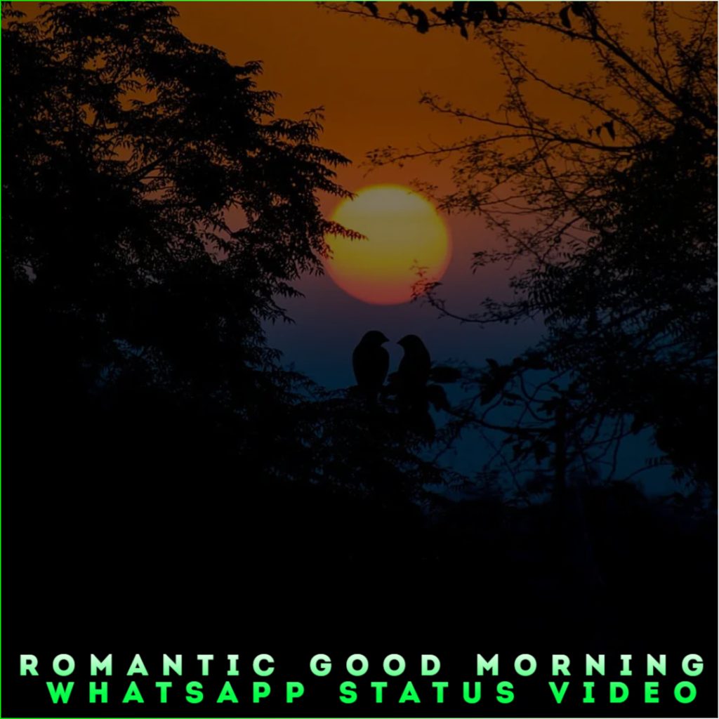 Romantic Good Morning Whatsapp Status Video