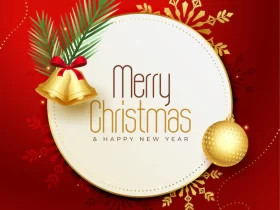 25 December Merry Christmas Whatsapp Status Video