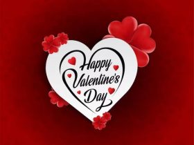 Happy Valentine Day 2023 Whatsapp Status Video