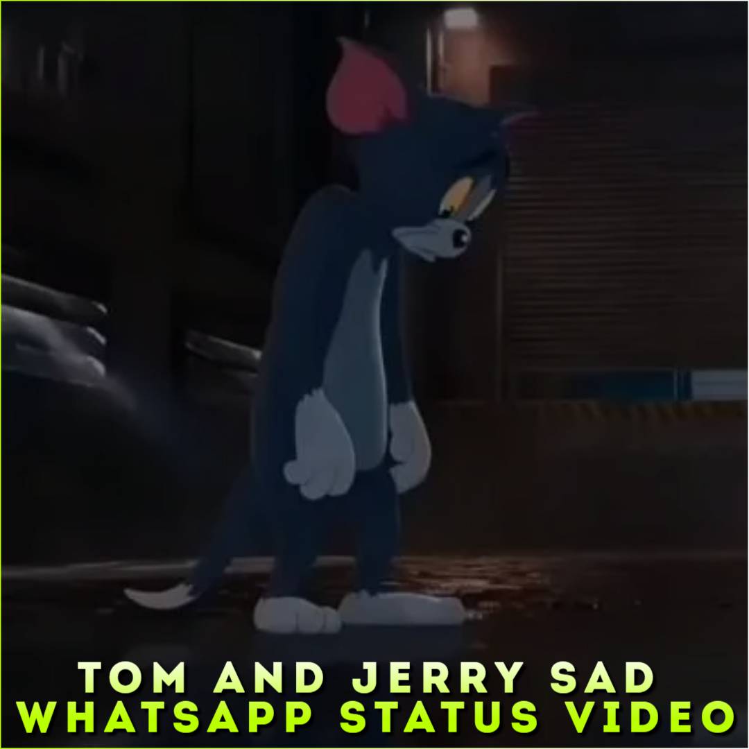 Tom And Jerry Sad Whatsapp Status Video, Tom Sad Status Video