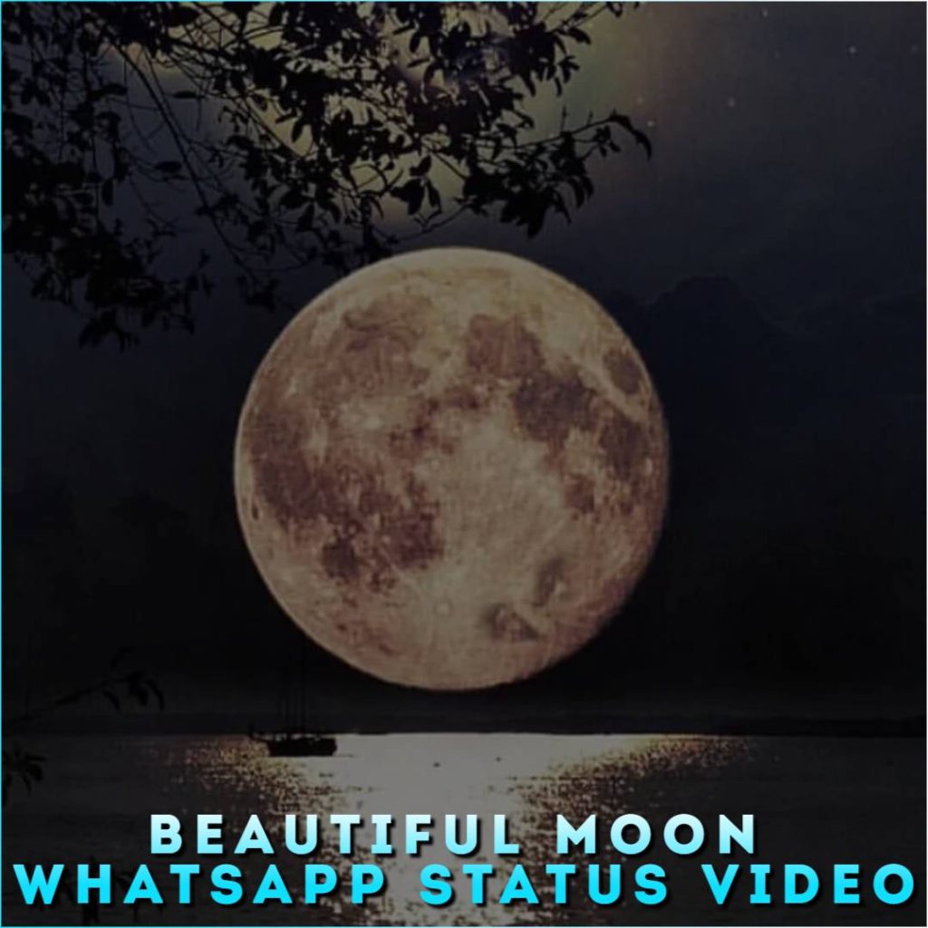 Beautiful Moon Whatsapp Status Video