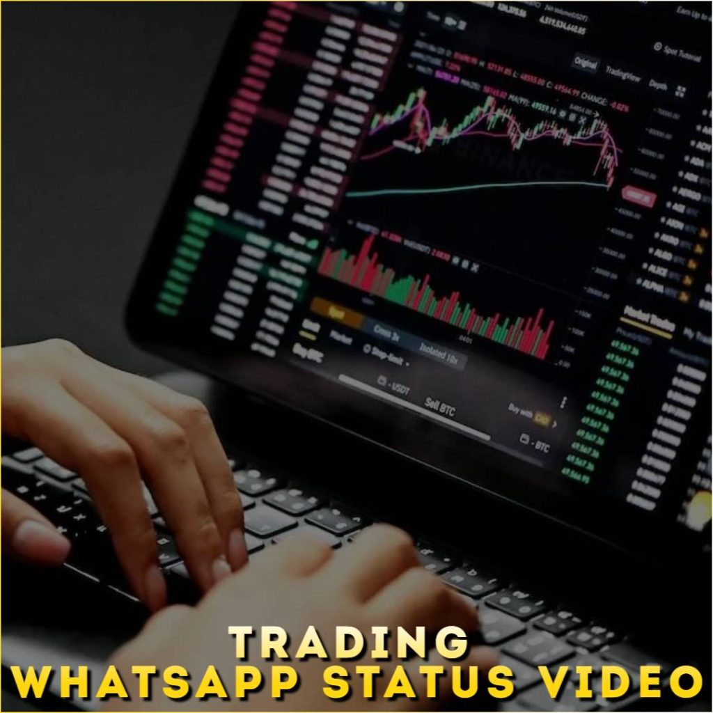 Trading Whatsapp Status Video