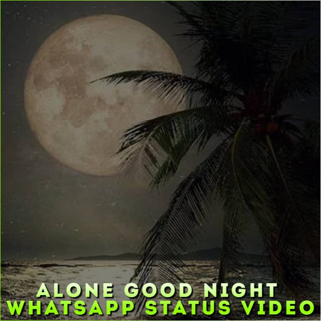 Alone Good Night Whatsapp Status Video