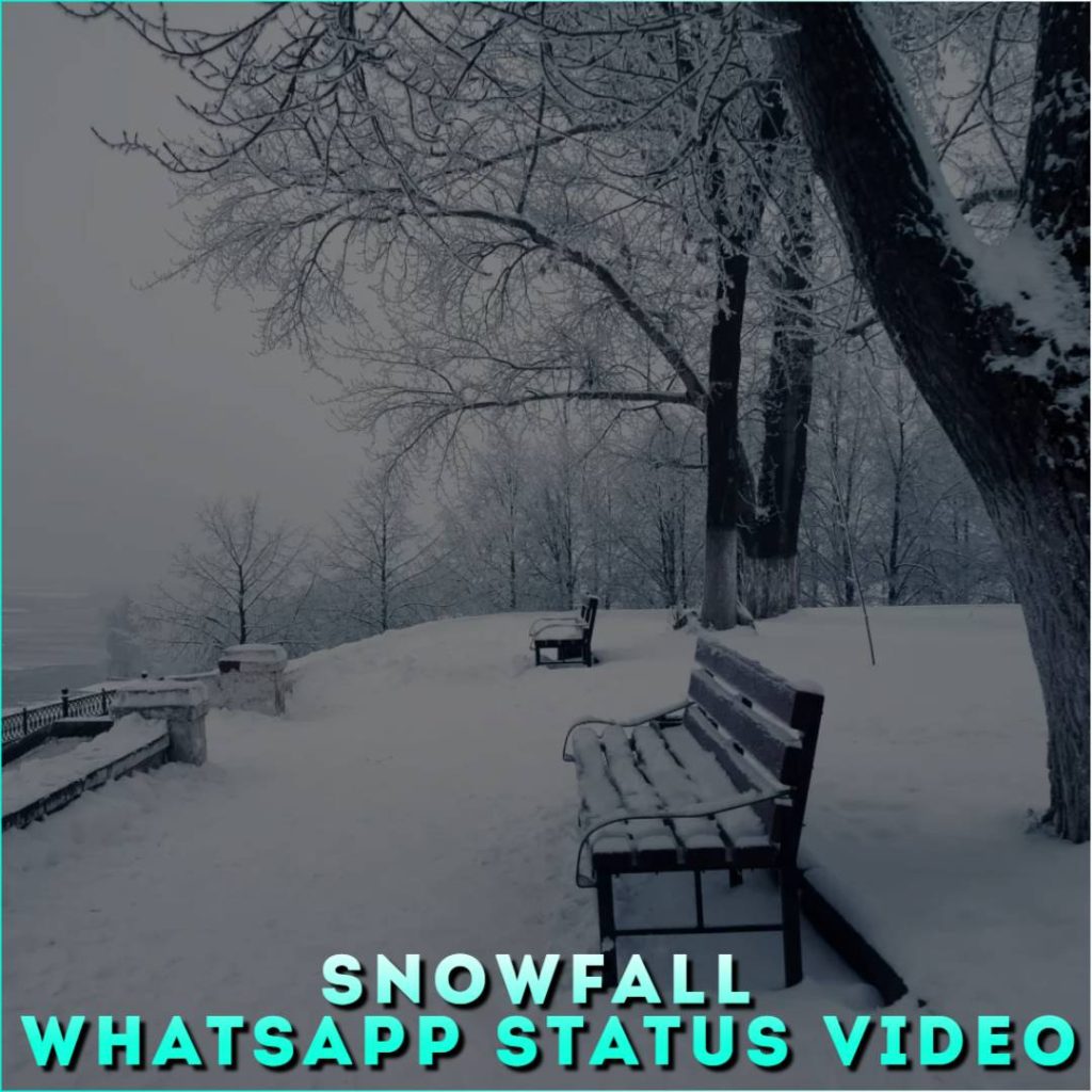 Snowfall Whatsapp Status Video