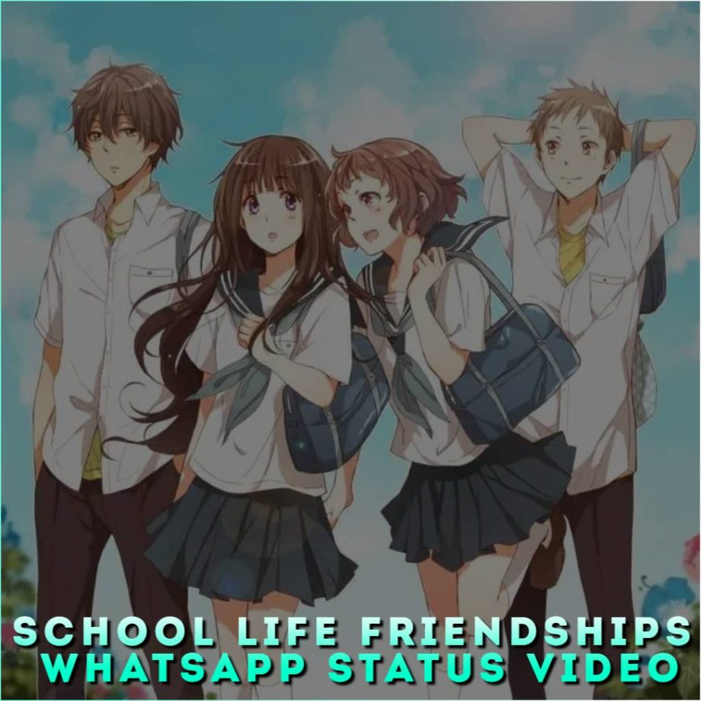 School Life Friendships Whatsapp Status Video