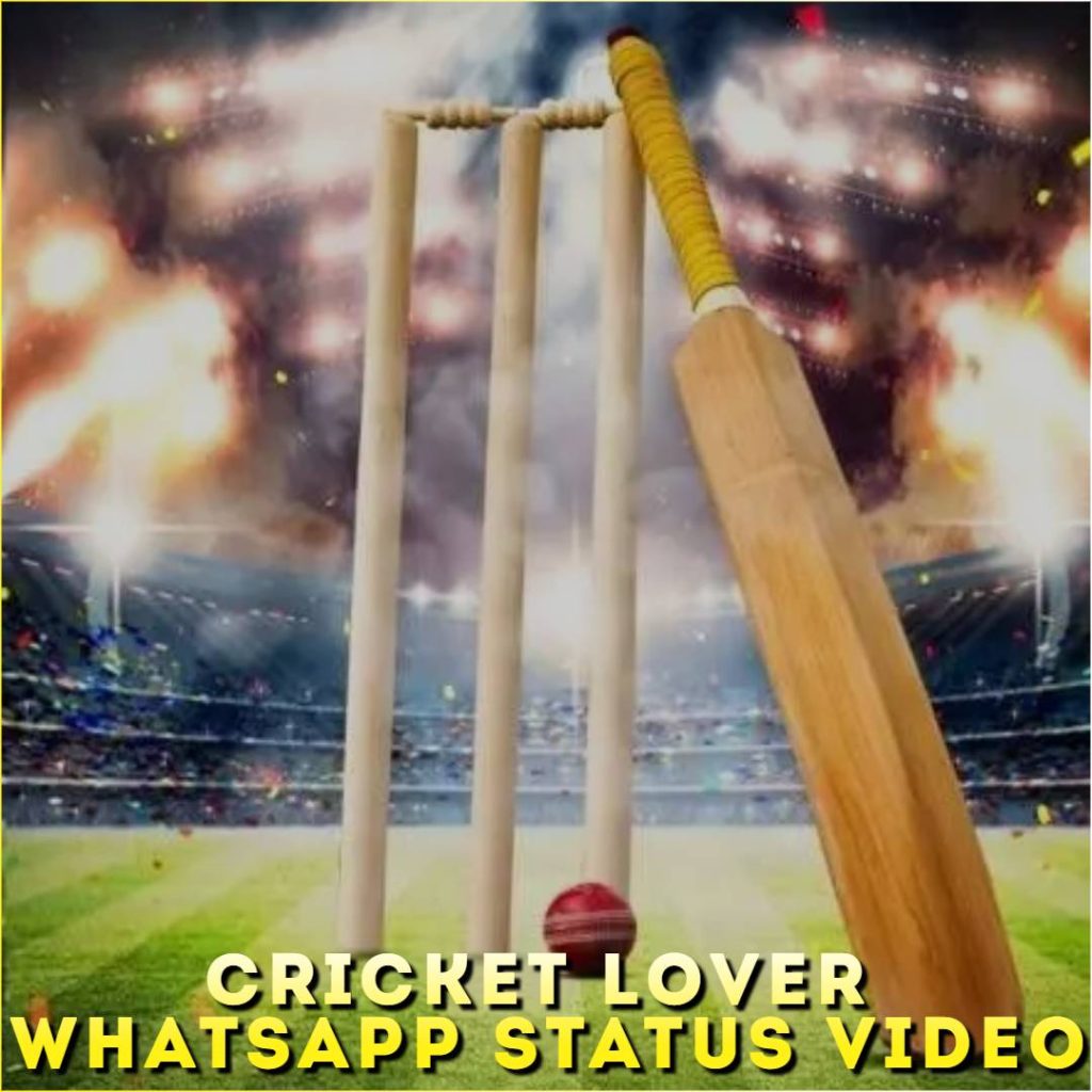 Cricket Lover Whatsapp Status Video