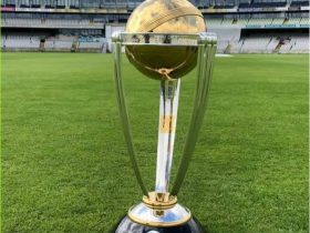 ICC Cricket World Cup 2023 Coming Soon Status Video