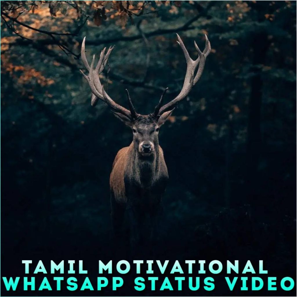 Tamil Motivational Whatsapp Status Video