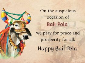 Happy Bail Pola 2023 Whatsapp Status Video