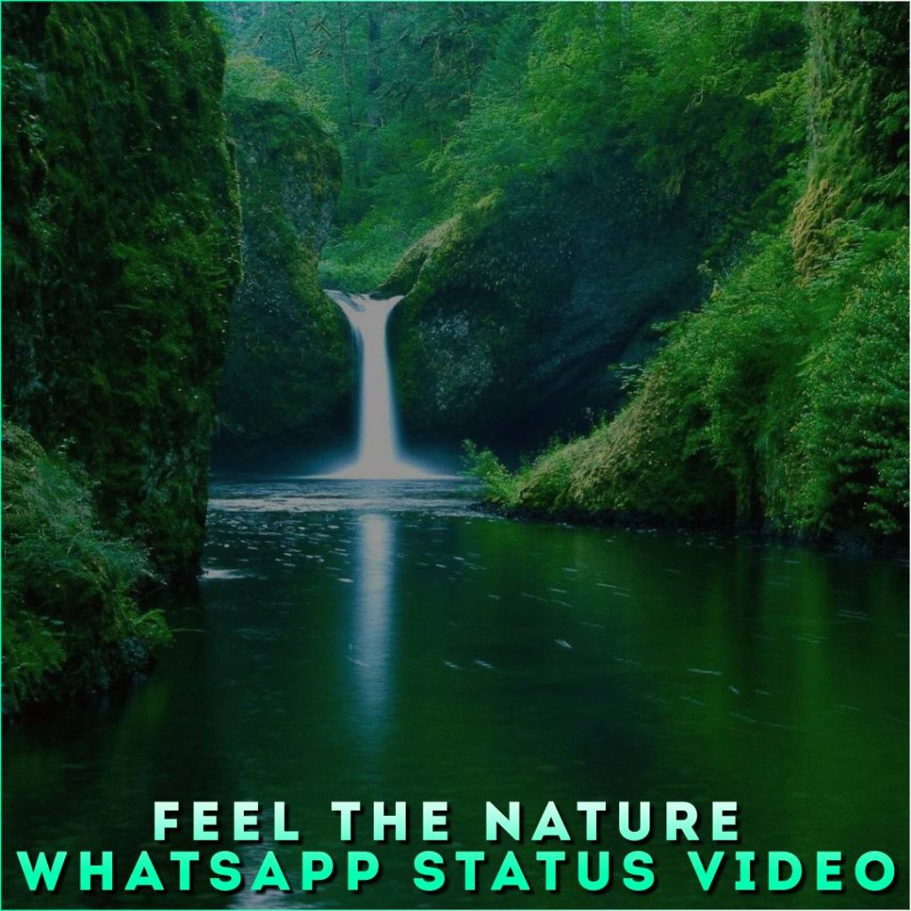 Feel The Nature Whatsapp Status Video