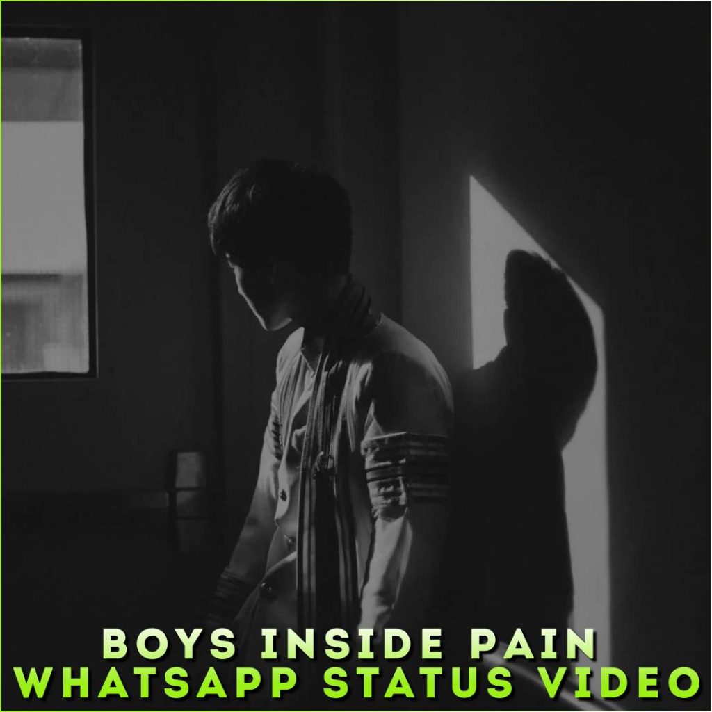 Boys Inside Pain Whatsapp Status Video