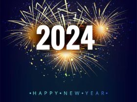 Happy New Year 2024 Best Wishes Status Video