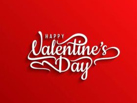 Happy Valentines Day 2024 Whatsapp Status Video
