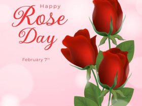 7th February Rose Day Whatsapp Status Video
